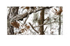 [Vehicle Vinyl], [Truck Decal],[Truck Vinyl], [Factory Crafts]