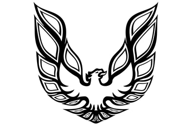 [Pontiac],[Firebird], [Vehicle Vinyl],[Car Vinyl],[Car],[Car Decal],[Decal],[Decals],[Factory Crafts],[Vinyl],[Vinyls],[Graphics],[Design],[Custom]
