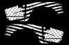 [Ford],[F150],[F-150],[Raptor],[Vehicle Vinyl],[Truck Vinyl],[Truck],[Truck Decal],[Decal],[Decals],[Factory Crafts],[Vinyl],[Vinyls],[Graphics],[Design],[Custom]