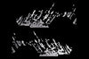 [Jeep],[Wrangler], [Vehicle Vinyl],[Car Vinyl],[Car],[Car Decal],[Decal],[Decals],[Factory Crafts],[Vinyl],[Vinyls],[Graphics],[Design],[Custom]