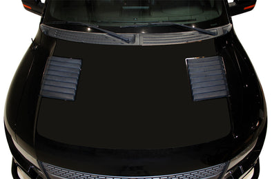 [Ford],[Raptor],[Vehicle Vinyl],[Truck Vinyl],[Truck],[Truck Decal],[Decal],[Decals],[Factory Crafts],[Vinyl],[Vinyls],[Graphics],[Design],[Custom]