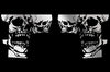 Chevy Chevrolet Silverado Truck Decal Vinyl Graphics Silver Skull Design