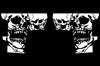 Chevy Chevrolet Silverado Truck Decal Vinyl Graphics White Skull Design