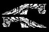 Chevy Chevrolet Silverado Car Decal Vinyl Graphics White Skull Design