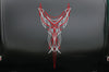 [Vehicle Vinyl], [Truck Decal],[Truck Vinyl], [Factory Crafts]